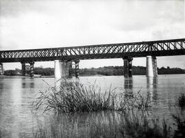 Puentes metálicos