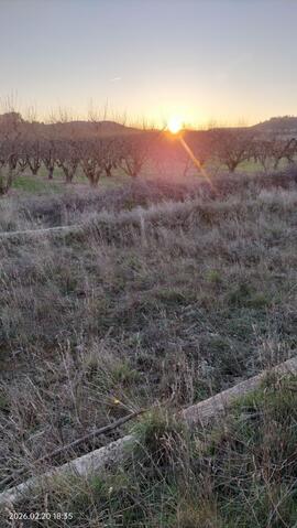 Álbum digital de la estación de Maluenda - Velilla de la línea de Calatayud de Valencia, km 10,018