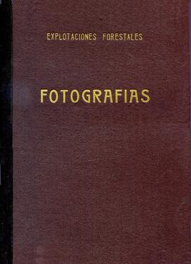TÍTULO DEL ÁLBUM : Fotografías : Explotaciones forestales / [RENFE]