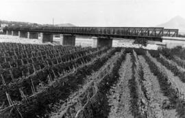 Cultivos frente al puente sobre el río Algar de la línea del ferrocarril de Alicante a Denia