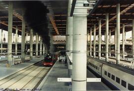 Tren de la fresa en la nueva estación de Puerta de Atocha