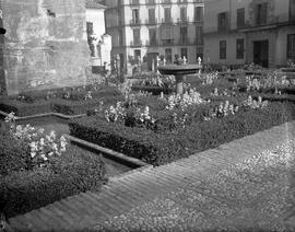 Vistas de Málaga