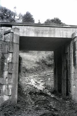 Puentes de la línea de León a Gijón