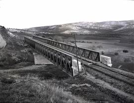 Puente metálico de 2 tramos y 82 m, con vigas en cruz de San Andrés y denominado "La Higuera...