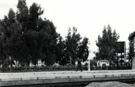 Estación de Brenes