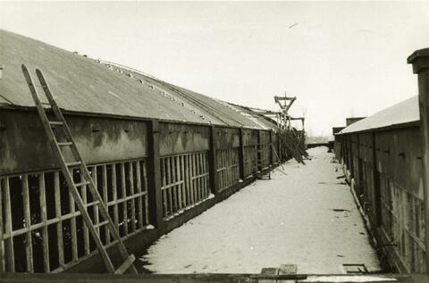 Original Objeto digital not accessible