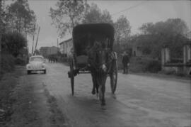 Coche de caballos en un poblado sin identificar de la línea de los Ferrocarriles de Langreo (Gijó...