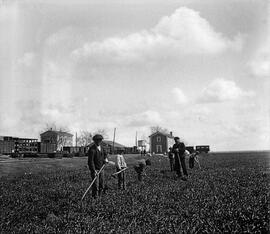 Campo de cultivo con labradores y la vieja estación de Algodor al fondo