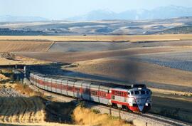 Tren Talgo III (Madrid Chamartín-Granada/Almería) Vírgen de la Soledad en las proximidades de Moreda
