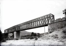 Puente metálico de dos tramos y 114 m, con vigas tipo Linville. Situado en el km 283,772 de la lí...