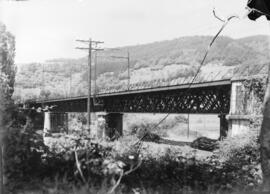 Puente de hierro de tres tramos. Se encuentra en el km 593,302 de la línea Madrid-Hendaya