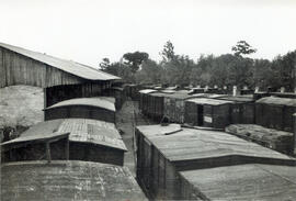 Muelle y vagones en la estación de Castellón de la Plana