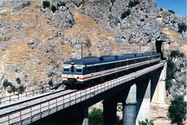 Automotores diésel de la serie 592, 593 y 596 de RENFE, conocidos como "Camellos"