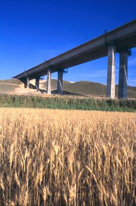 Viaducto doble sobre el río Huerva