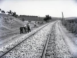 Renovación de vía entre los km 6,500 a 112,200 de la línea de Córdoba a Málaga