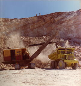 Carga y transporte de piedra en rama