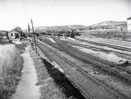 Estación de Monforte. Playas y vías, y material estacionado