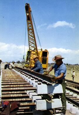 La vía férrea moderna. Construcción de vía nueva en la línea férrea Méjico-Laredo.