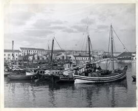Fishing boats in harbor at Lisbon, Portugal = Barcos pesqueros en el puerto de Lisboa, Portugal