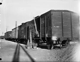 Trenes de mercancías. vagones