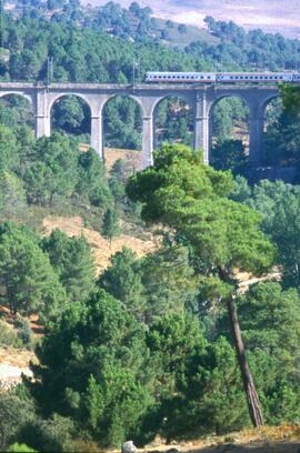 Puente de Recondo o de Los Molinos en el km 73,390 de la línea de Madrid a Irún, situado en el té...