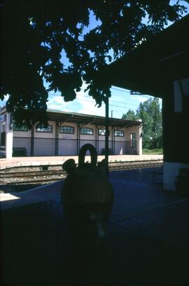 Botijo en la estación de Magaz