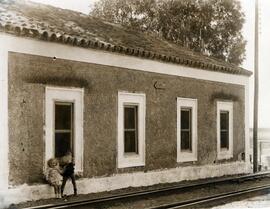 El Paludismo en la Red / Compañía de los Ferrocarriles de Madrid a Zaragoza y a Alicante