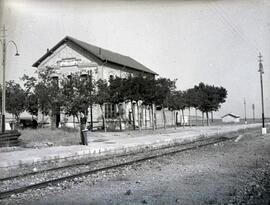 Estación de Arguedas - Muscaria