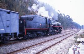 Locomotora de vapor 141F- 2111 Mikado del Museo del Ferrocarril de Galicia realizando el trayecto...
