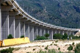 Contenedor caído al pie del viaducto de Font de la Figuera