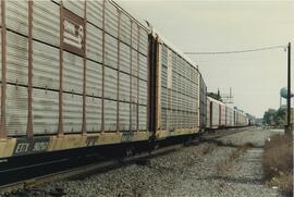 Tren nº 11 CONRAIL transportando contenedores, a su paso por Porter (Indiana). Procede de CR (NYC...