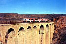 Automotores diésel de la serie 592, 593 y 596 de RENFE, conocidos como "Camellos"