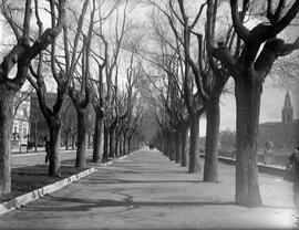 Vistas de Burgos capital