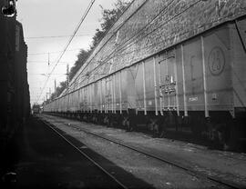 Trenes de mercancías. Vagones