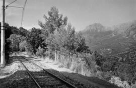 Tramo de vía del Ferrocarril de Sóller.
