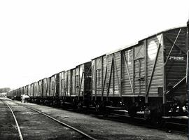 TÍTULO DEL ÁLBUM : [Vagones de RENFE]
