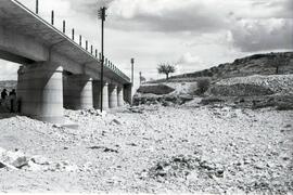 Puente o viaducto de hormigón de 6 tramos y 130 m de longitud, situado en el km 62,654 de la líne...