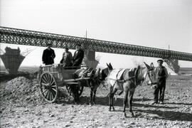 Sustitución del antiguo puente metálico sobre el río Guadiana. Línea de Mérida a Los Rosales (Sev...