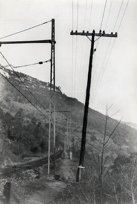 Líneas de comunicaciones en el p.k. 43, trayecto de Urtg-Alp a Caixans, de la línea de Ripoll a P...