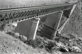 Puente metálico de tres tramos y 146 m, con vigas tipo Linville. Situado en el km 304,508 de la l...