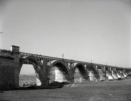 Sustitución del antiguo puente metálico de 11 tramos y 570,80 m sobre el río Guadiana, con vigas ...