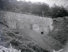 Viaducto de La Regerona, en el km 67,779 de la línea de León a Gijón, dentro del término municipa...