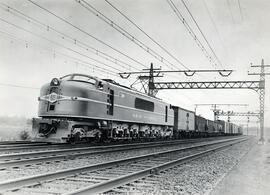 Tren New Haven 0150