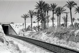 Nuevo enlace de la línea de Alicante a Murcia con la estación de Alicante-Benalúa, en el término ...