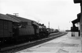 Composiciones de mercancías, remolcadas por locomotoras de vapor, detenidas en la estación de Gallur