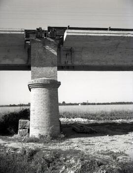 Antiguo puente de hormigón de 16 tramos y 387 m. Situado en el km 002,665 de la línea de Sevilla ...