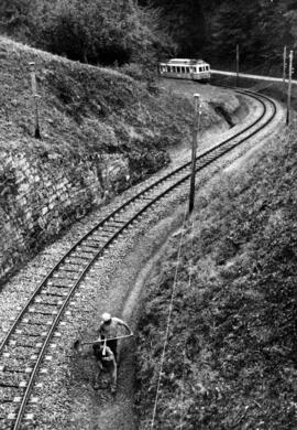 La vía férrea moderna. Tramo de vía métrica de la línea Aigle-Sepey-Diablerets.