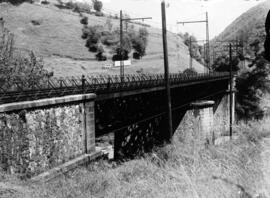 Puente de hierro de tres tramos. Se encuentra en el km 593,302 de la línea Madrid-Hendaya