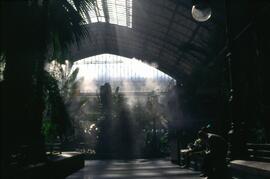 Jardín tropical de la estación de Madrid - Atocha