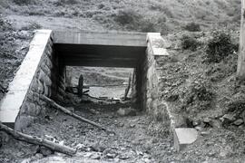 Puentes de la línea de León a Gijón